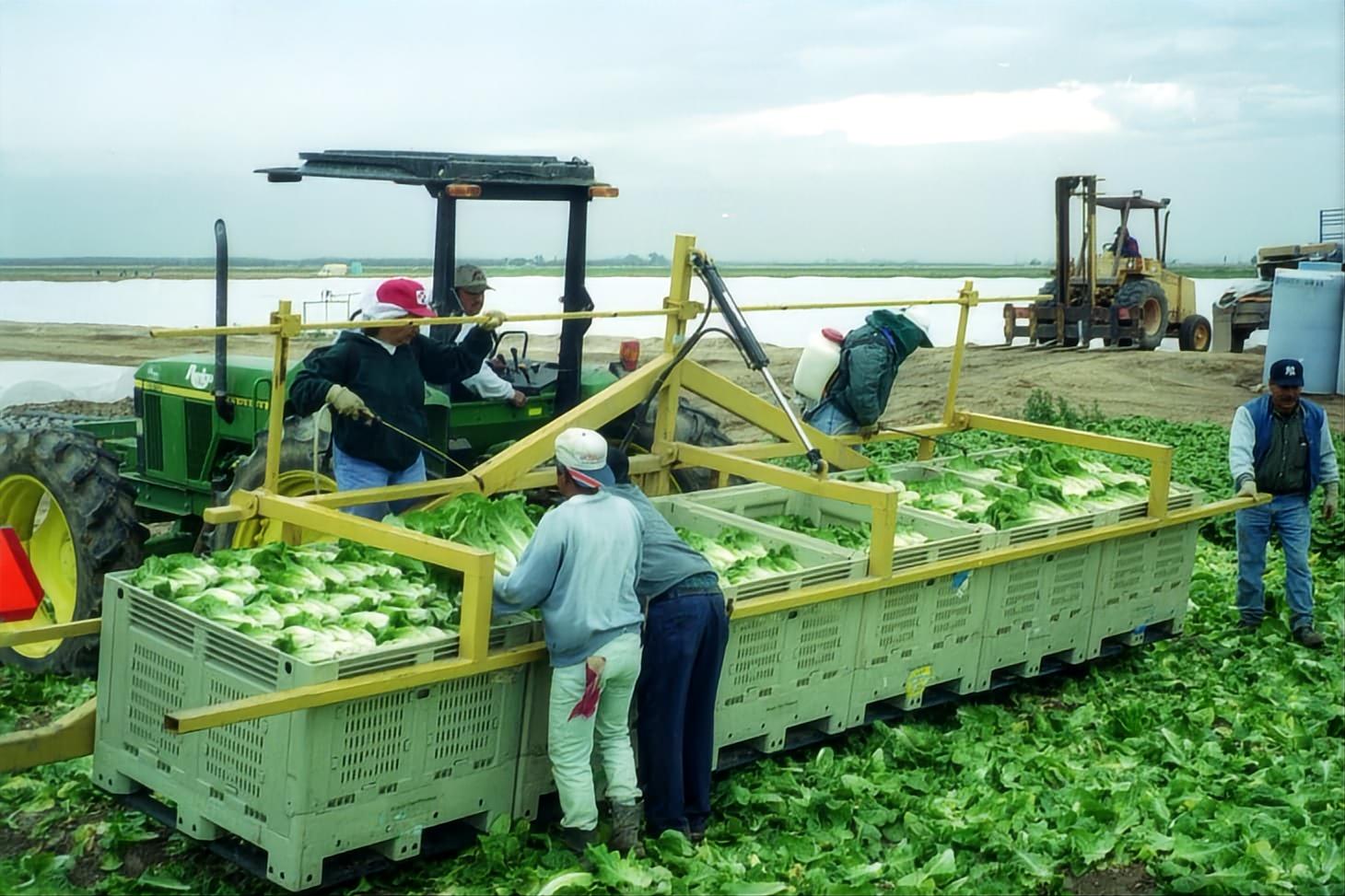 野菜パレットボックス