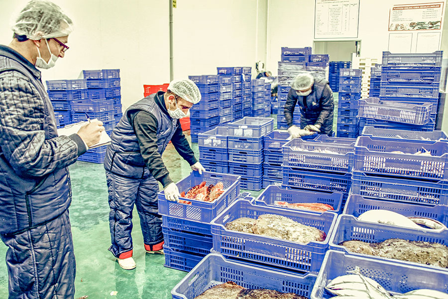 コールドチェーン物流