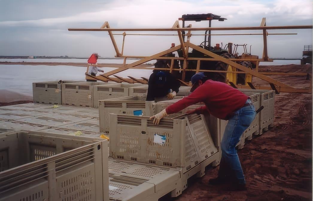 折りたたみ式収穫箱