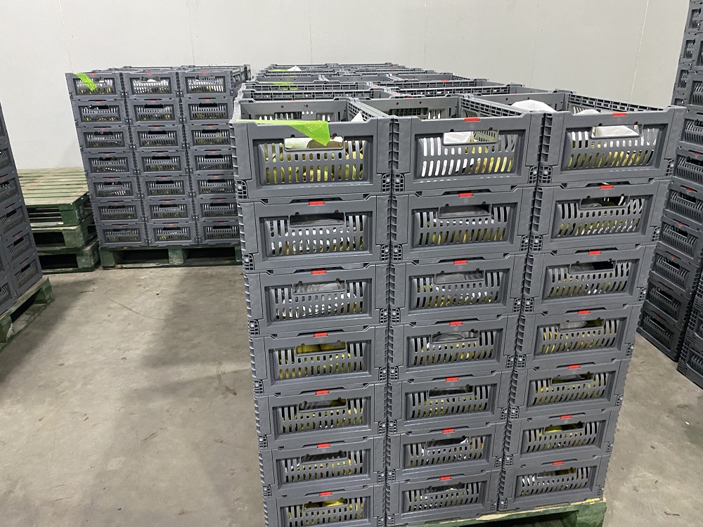 果物や野菜用の積み重ね可能なプラスチック箱