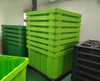 プラスチックパレットバルクコンテナ