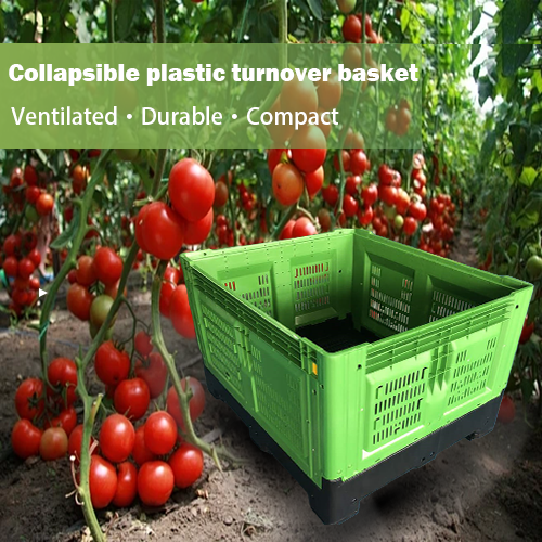 南米およびメキシコの農業部門におけるプラスチックパレットおよびプラスチック箱の需要分析レポート